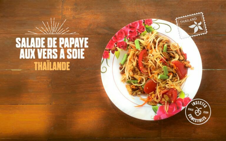 recette-insecte-salade-papaye-ver-soie-768x478-531400950.jpg